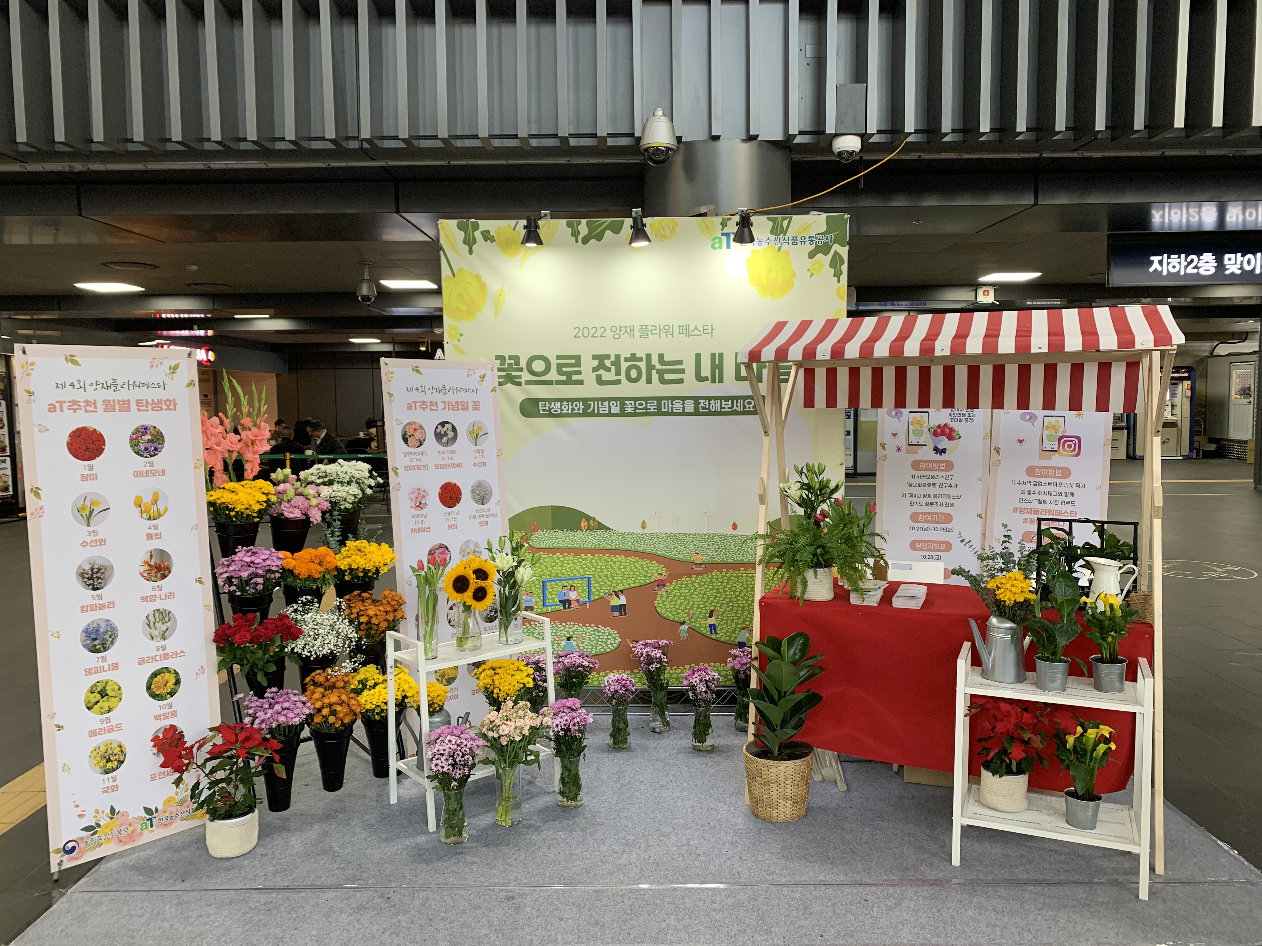 탄생화 기념일 꽃 홍보 팝업부스 (수서역)