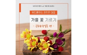 가을 꽃 기르기 -국화&천일홍- 썸네일
